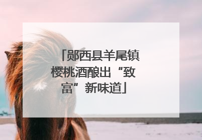 郧西县羊尾镇樱桃酒酿出“致富”新味道