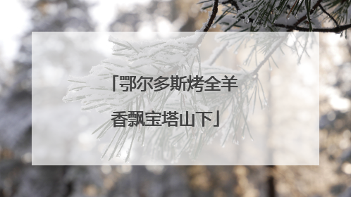 鄂尔多斯烤全羊香飘宝塔山下