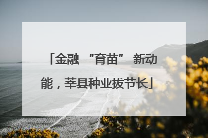 金融 “育苗” 新动能，莘县种业拔节长