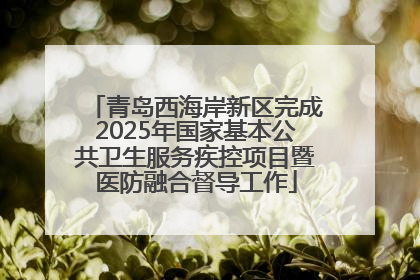 青岛西海岸新区完成2025年国家基本公共卫生服务疾控项目暨医防融合督导工作