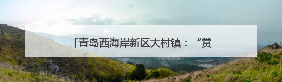 青岛西海岸新区大村镇：“赏花经济”绘就乡村振兴新图景