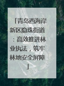 青岛西海岸新区隐珠街道：高效推进林业执法，筑牢林地安全屏障