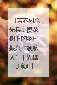 青春村余先兵：樱花树下的乡村振兴“领航人”｜先锋引领⑪