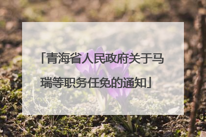 青海省人民政府关于马瑞等职务任免的通知