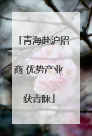 青海赴沪招商 优势产业获青睐