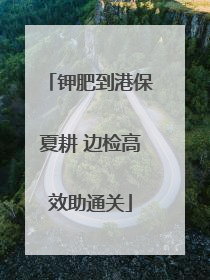 钾肥到港保夏耕 边检高效助通关