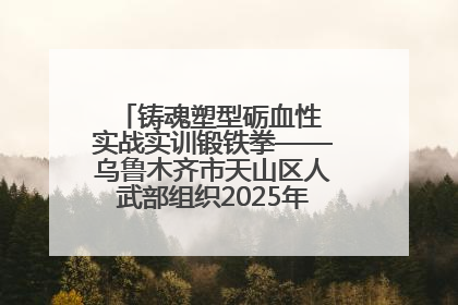 铸魂塑型砺血性 实战实训锻铁拳——乌鲁木齐市天山区人武部组织2025年度民兵集中轮训