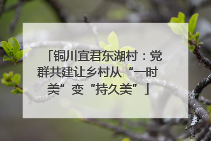 铜川宜君东湖村：党群共建让乡村从“一时美”变“持久美”