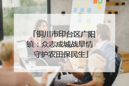 铜川市印台区广阳镇：众志成城战旱情 守护农田保民生