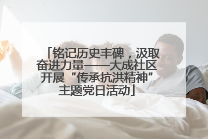 铭记历史丰碑，汲取奋进力量——大成社区开展“传承抗洪精神”主题党日活动