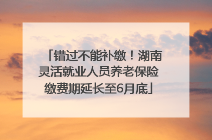 错过不能补缴！湖南灵活就业人员养老保险缴费期延长至6月底