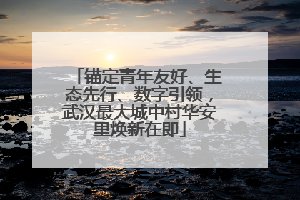 锚定青年友好、生态先行、数字引领，武汉最大城中村华安里焕新在即