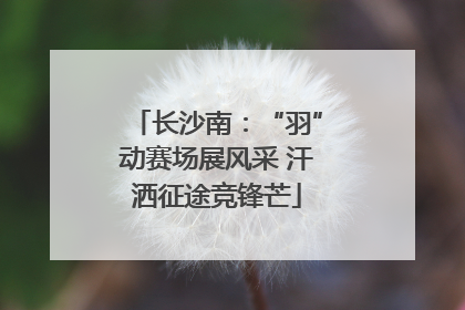长沙南：“羽”动赛场展风采 汗洒征途竞锋芒