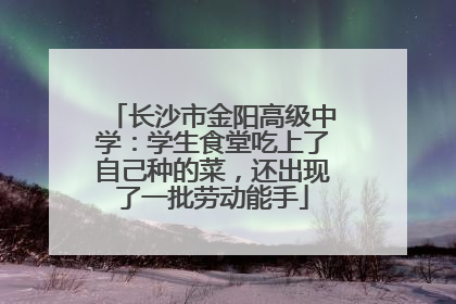 长沙市金阳高级中学：学生食堂吃上了自己种的菜，还出现了一批劳动能手