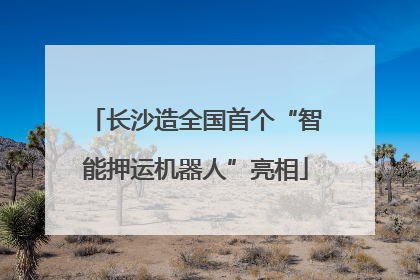 长沙造全国首个“智能押运机器人”亮相