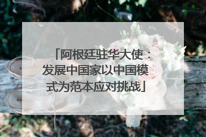 阿根廷驻华大使：发展中国家以中国模式为范本应对挑战