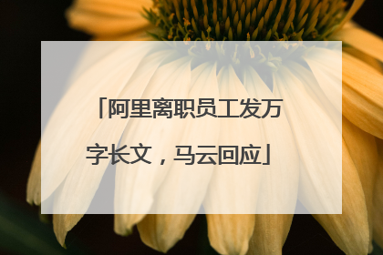 阿里离职员工发万字长文，马云回应