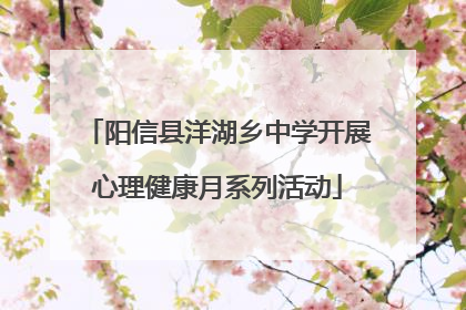 阳信县洋湖乡中学开展心理健康月系列活动