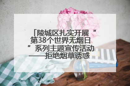 陵城区扎实开展“第38个世界无烟日”系列主题宣传活动——拒绝烟草诱惑 对第一支烟说不