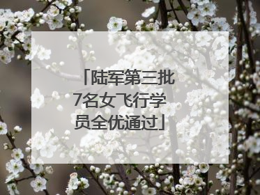 陆军第三批7名女飞行学员全优通过