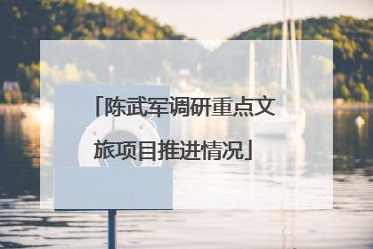 陈武军调研重点文旅项目推进情况