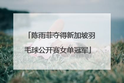 陈雨菲夺得新加坡羽毛球公开赛女单冠军