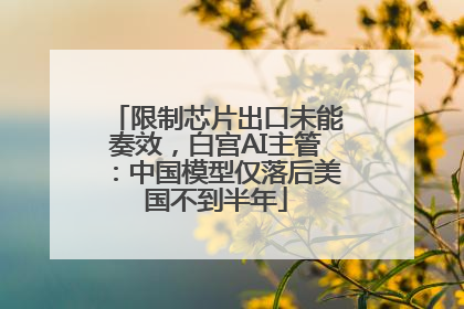 限制芯片出口未能奏效，白宫AI主管：中国模型仅落后美国不到半年