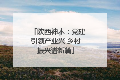 陕西神木：党建引领产业兴 乡村振兴谱新篇