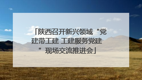 陕西召开新兴领域“党建带工建 工建服务党建”现场交流推进会