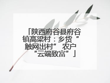 陕西府谷县府谷镇高梁村：乡货“触网出村” 农户“云端致富”