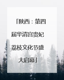 陕西：第四届华清宫贵妃荔枝文化节盛大启幕