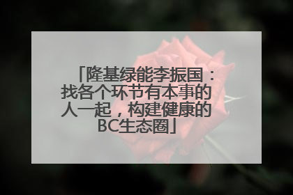 隆基绿能李振国：找各个环节有本事的人一起，构建健康的BC生态圈