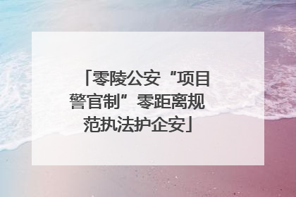 零陵公安“项目警官制”零距离规范执法护企安