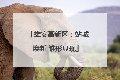 雄安高新区：站城焕新 雏形显现