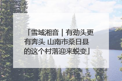 雪域湘音｜有劲头更有奔头 山南市桑日县的这个村落迎来蜕变