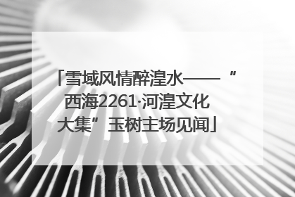 雪域风情醉湟水——“西海2261·河湟文化大集”玉树主场见闻
