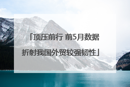 顶压前行 前5月数据折射我国外贸较强韧性
