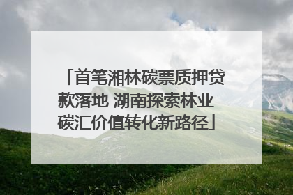 首笔湘林碳票质押贷款落地 湖南探索林业碳汇价值转化新路径
