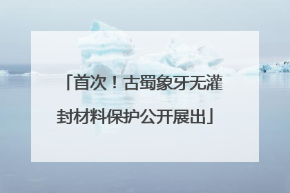 首次！古蜀象牙无灌封材料保护公开展出