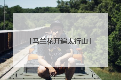 马兰花开遍太行山