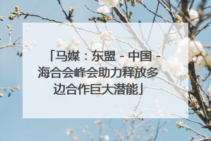 马媒：东盟－中国－海合会峰会助力释放多边合作巨大潜能