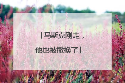 马斯克刚走，他也被撤换了