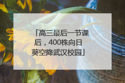 高三最后一节课后，400株向日葵空降武汉校园