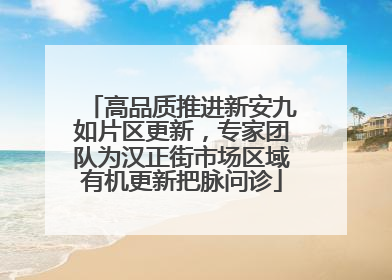 高品质推进新安九如片区更新，专家团队为汉正街市场区域有机更新把脉问诊