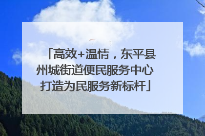 高效+温情，东平县州城街道便民服务中心打造为民服务新标杆
