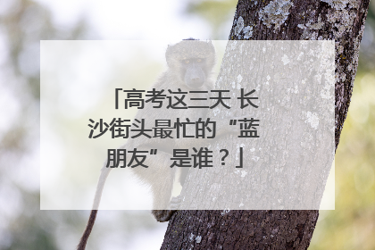 高考这三天 长沙街头最忙的“蓝朋友”是谁？