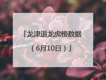龙津退龙虎榜数据（6月10日）