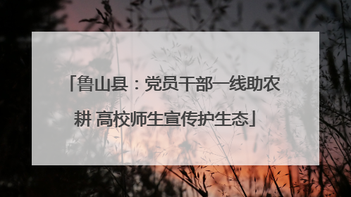 鲁山县：党员干部一线助农耕 高校师生宣传护生态