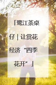 鹭江茶桌仔｜让赏花经济“四季花开”