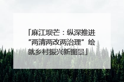 麻江坝芒：纵深推进“两清两改两治理”绘就乡村振兴新图景